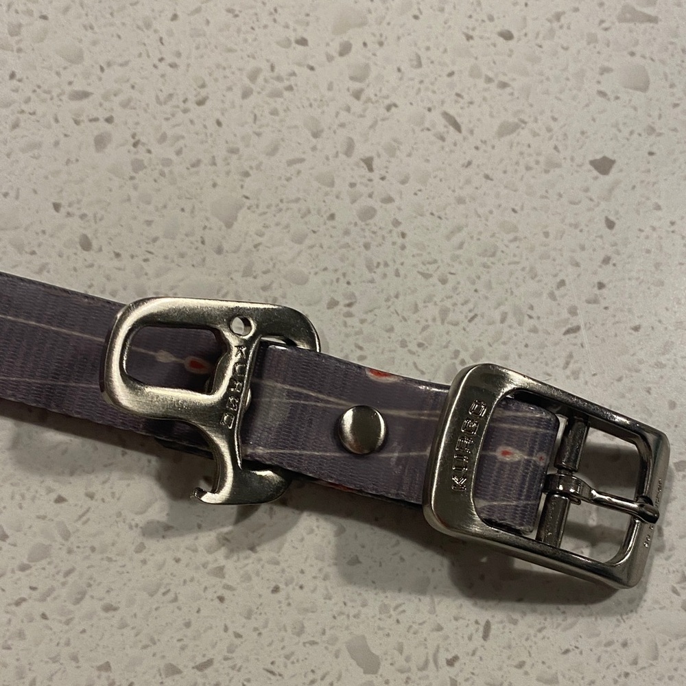 Kurgo Gray Dog Collar with Silver Buckle
